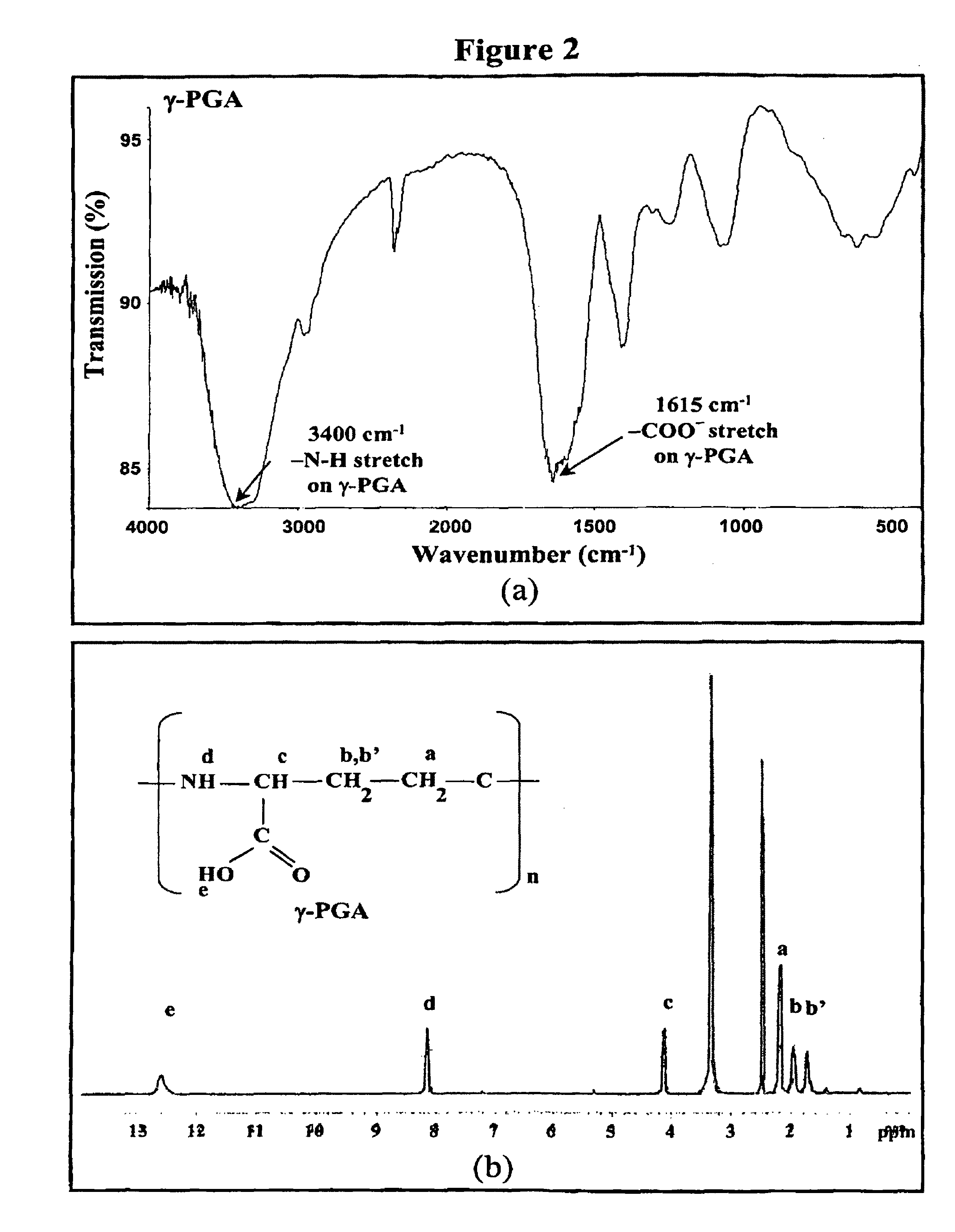 Nanoparticles for protein drug delivery