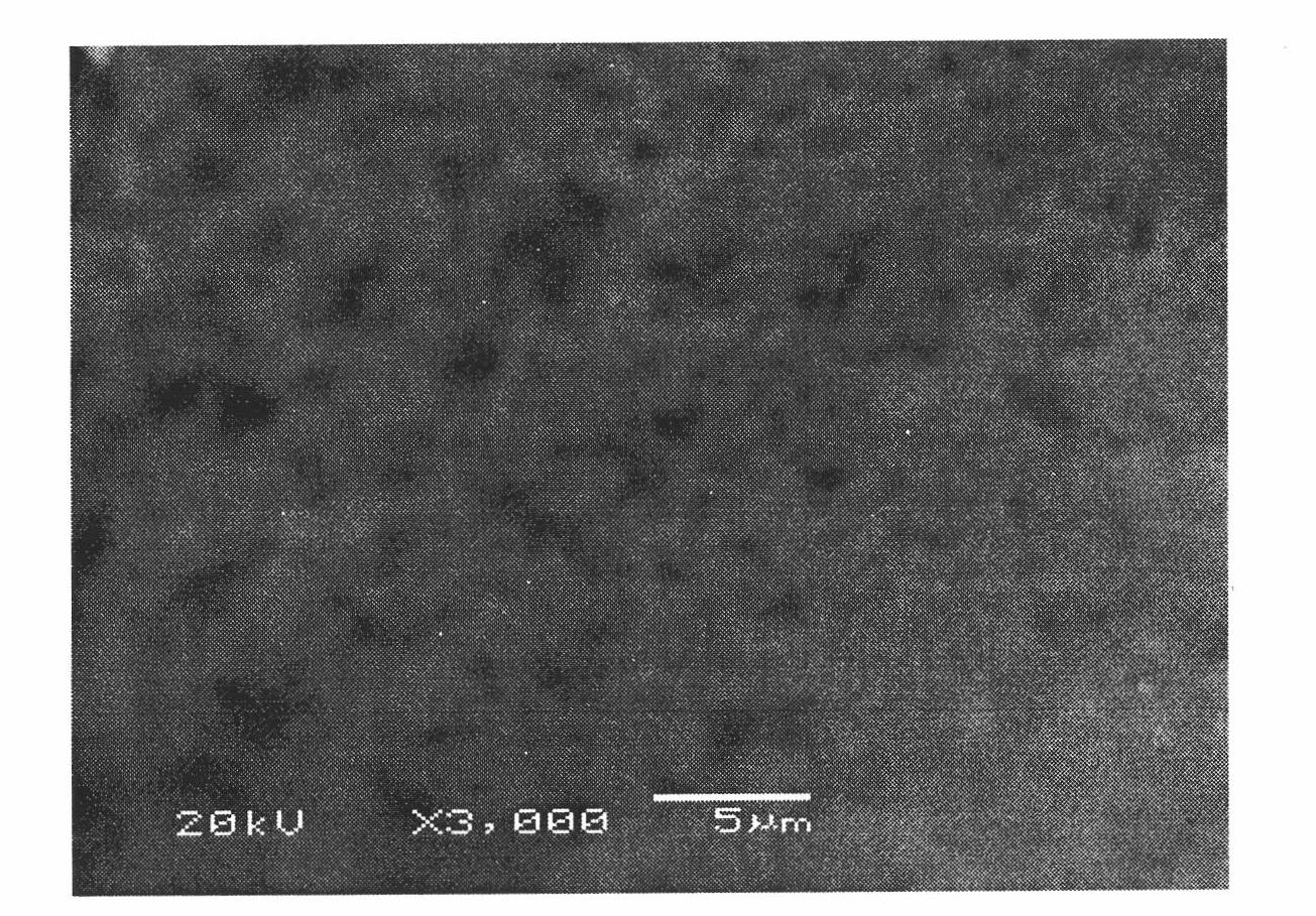 Porous high-oil-absorption resin and preparation method thereof