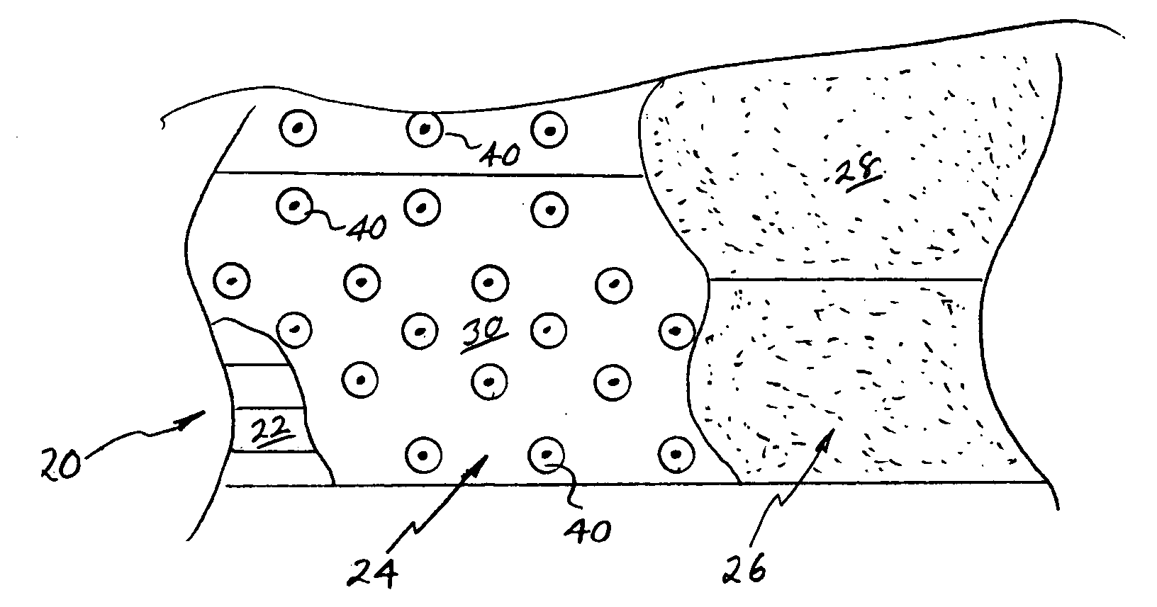 Roof membrane fastener, system, and fastening method