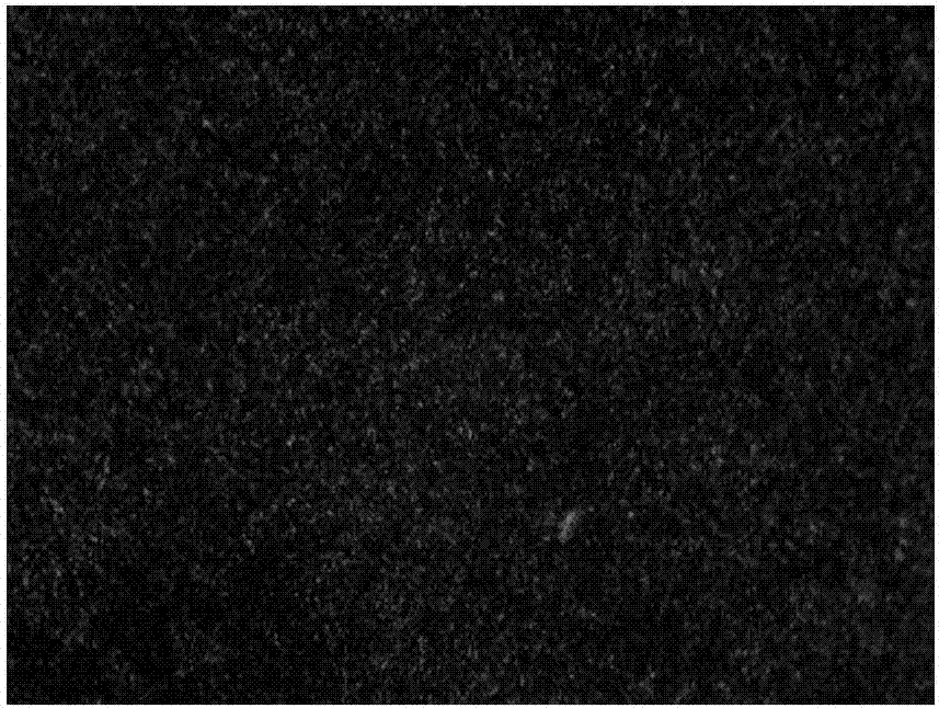 Ultrahigh-strength low-alloy wear-resistant steel used for forging and preparation method thereof