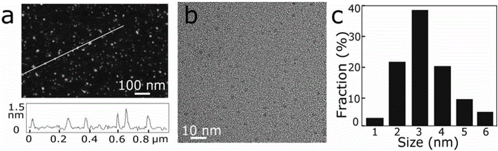 Preparation and application of a nitrogen-doped graphene quantum dot two-photon fluorescent probe