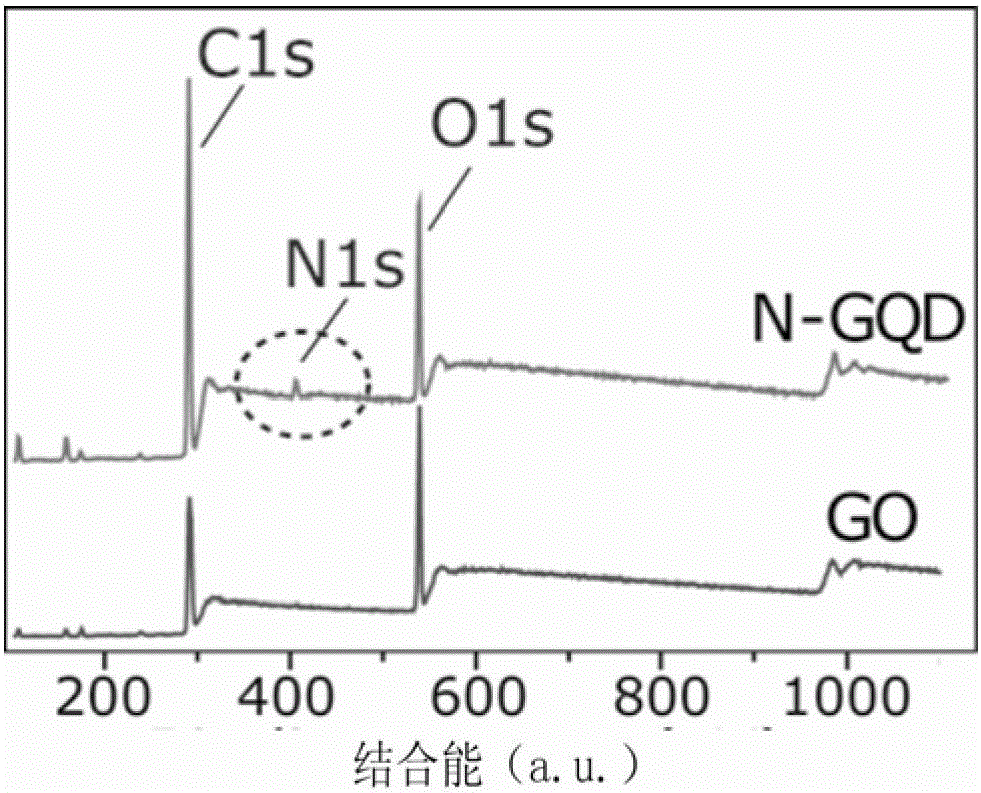 Preparation and application of a nitrogen-doped graphene quantum dot two-photon fluorescent probe