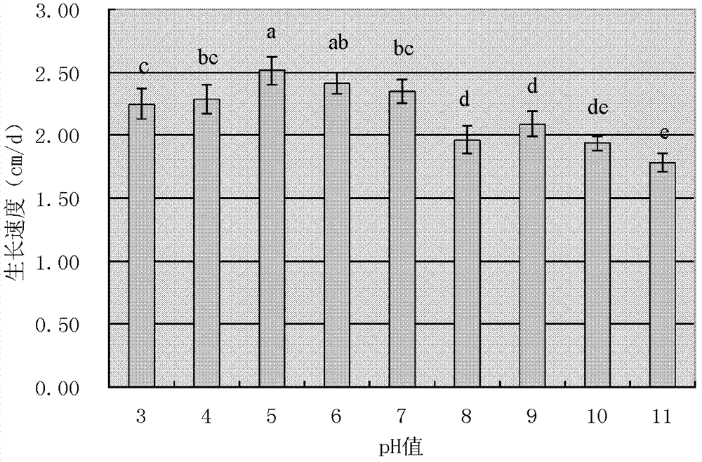 A kind of Trichoderma harzianum sch234 strain and preparation method and application