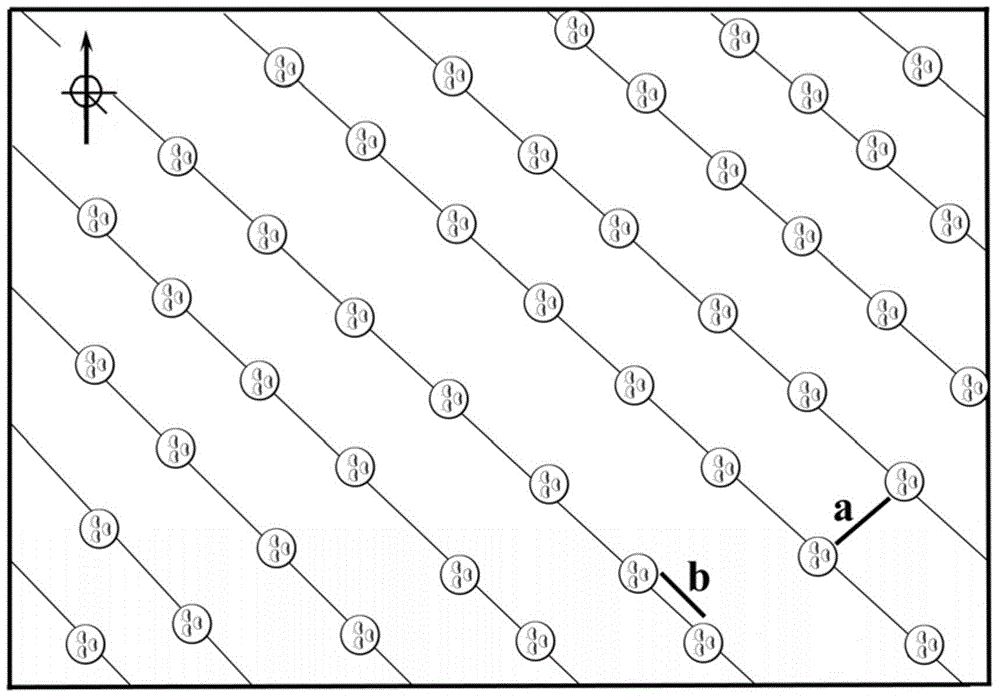 Ginseng cultivation method