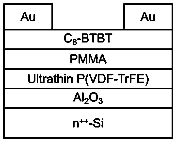 Ultralow power consumption ferroelectric transistor type memory based on two-dimensional organic functional material and preparation method thereof