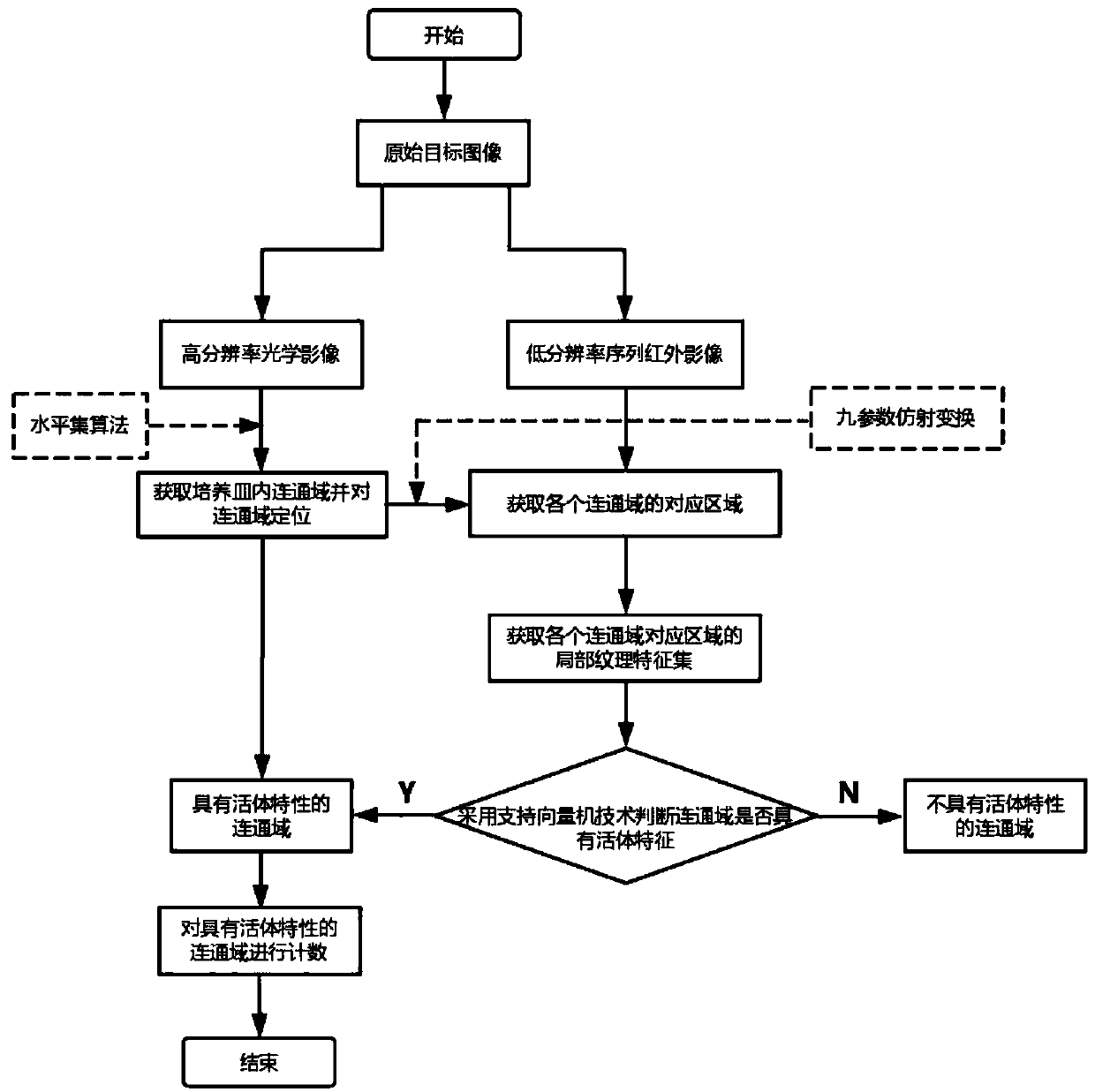 In-vivo bacterial colony counting method based on infrared and optical image dual-mode imaging information