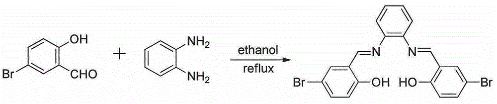 Preparation method and application of Mg2+ fluorescent probe with AIEE property