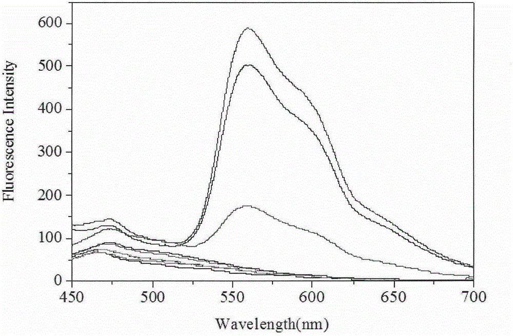 Preparation method and application of Mg2+ fluorescent probe with AIEE property