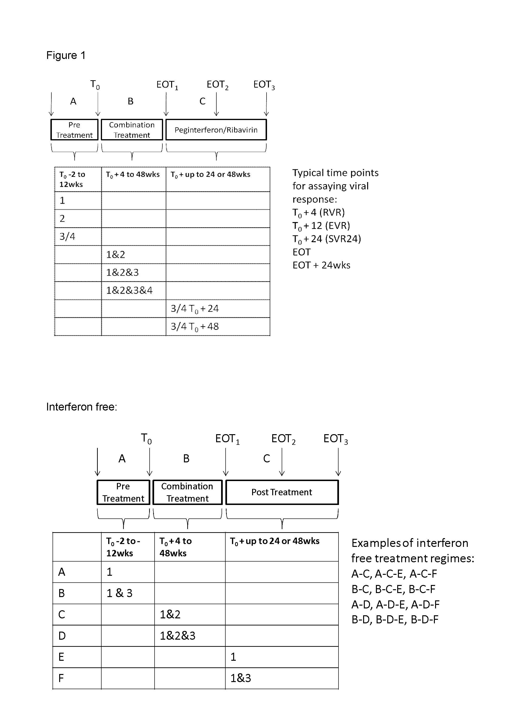 HCV Combination Therapy