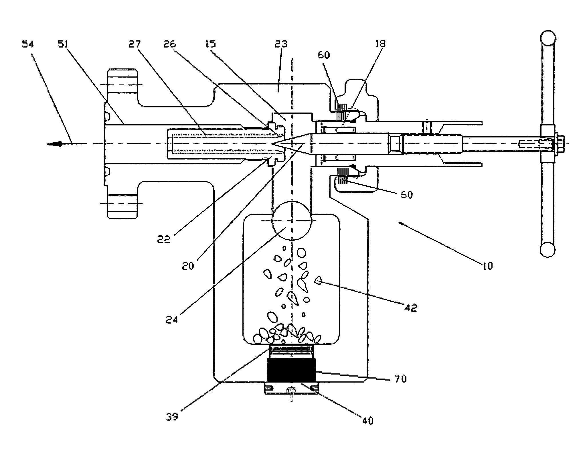 Large particulate removal system