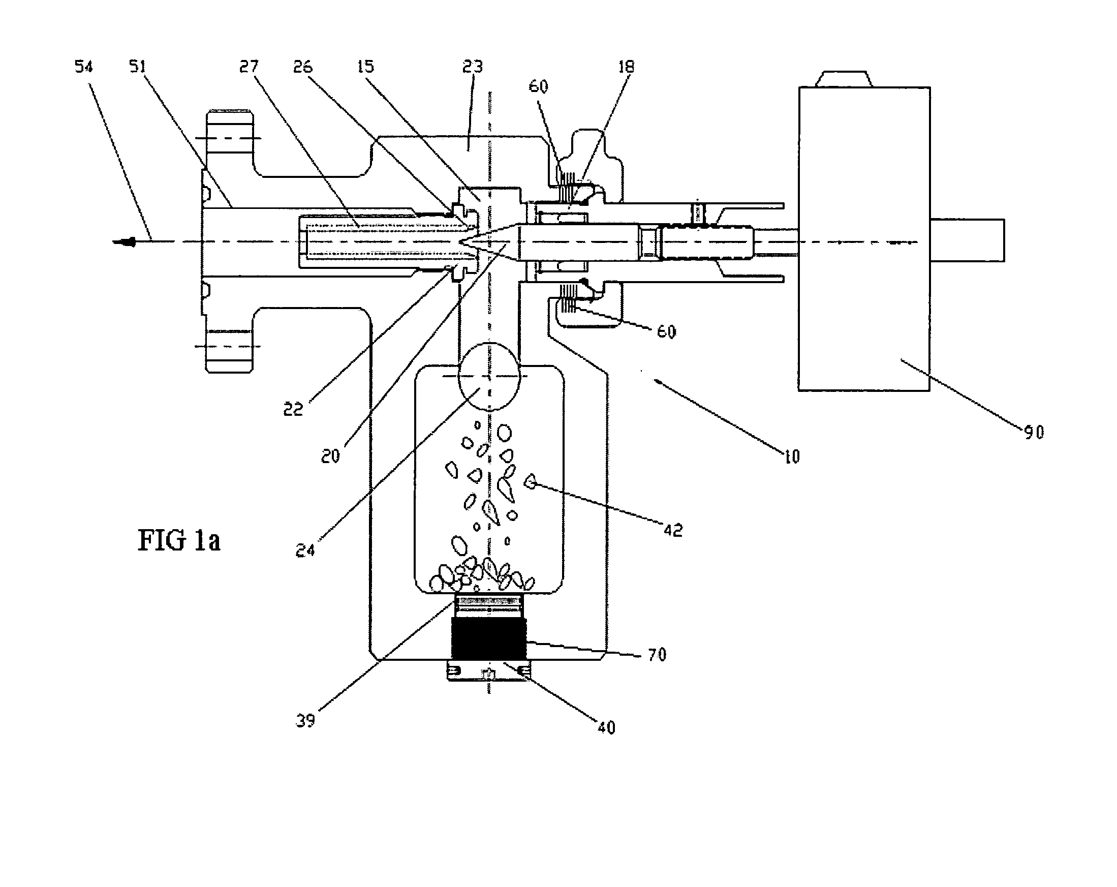 Large particulate removal system