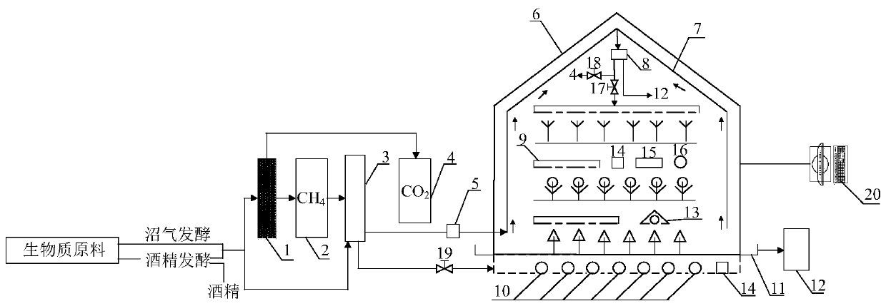 Greenhouse efficiency-increasing system and method integrating biogas purification application