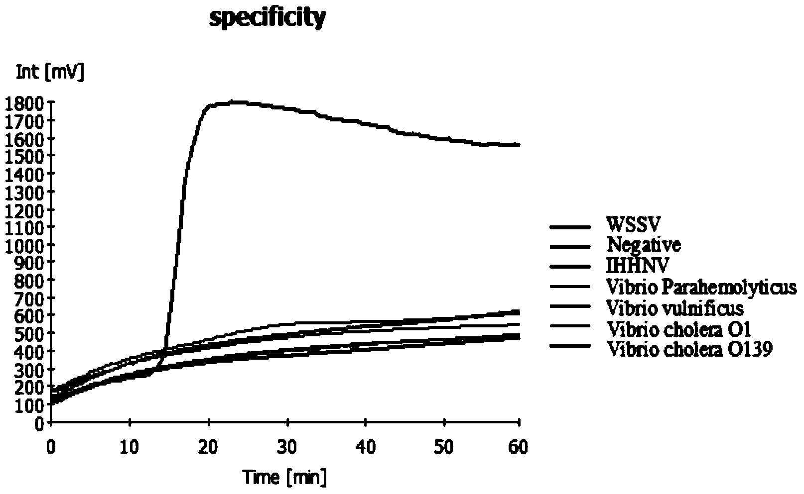 LAMP detection primer group and kit for white spot syndrome virus (WSSV)