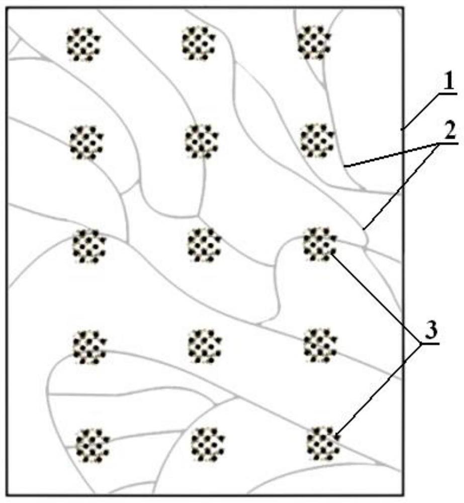 Midsole material with natural light transmission and preparation method thereof