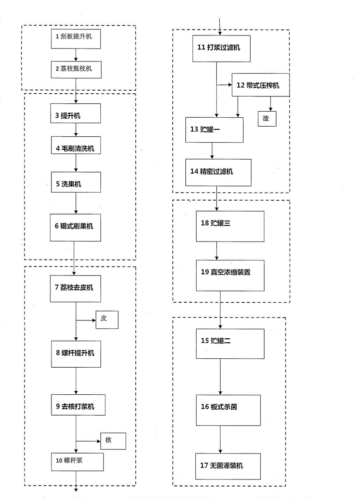 Apparatus for continuously processing litchi