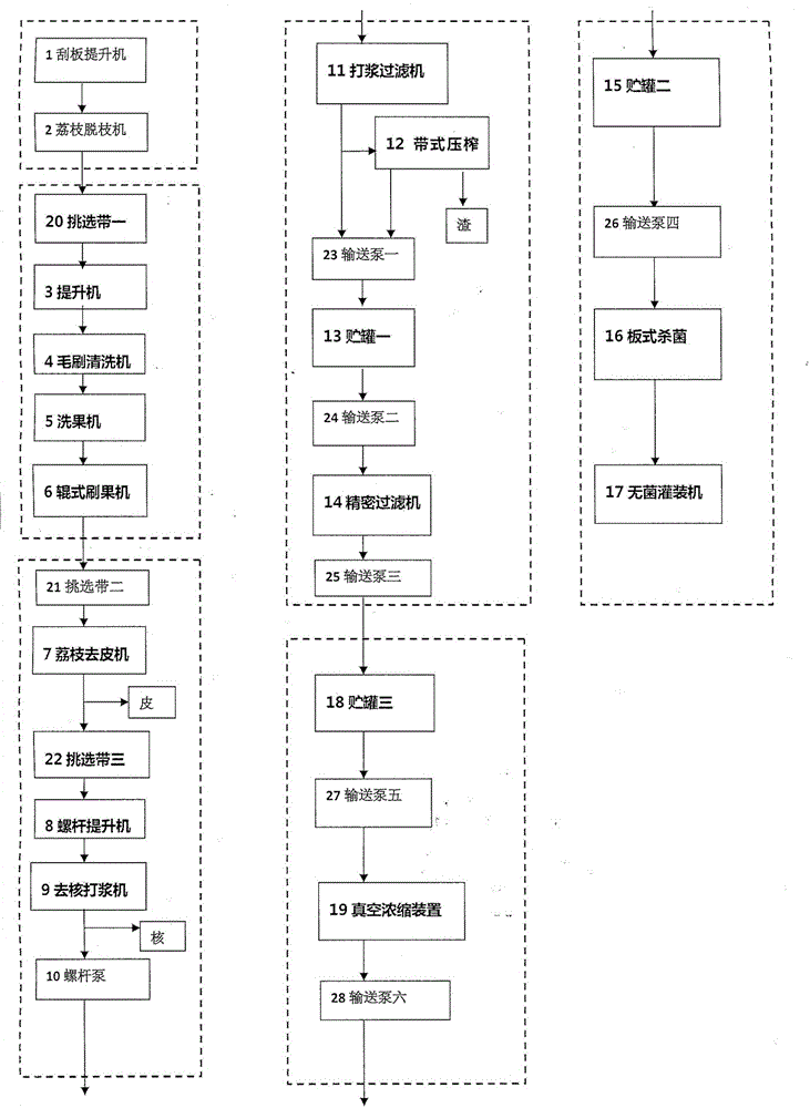 Apparatus for continuously processing litchi