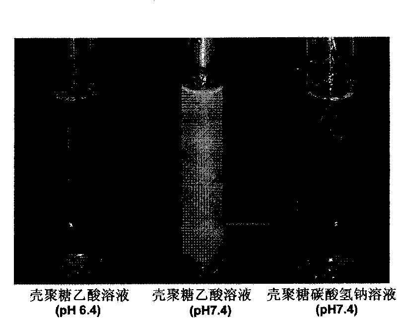 Solution of chitosan, preparation method thereof and using method thereof