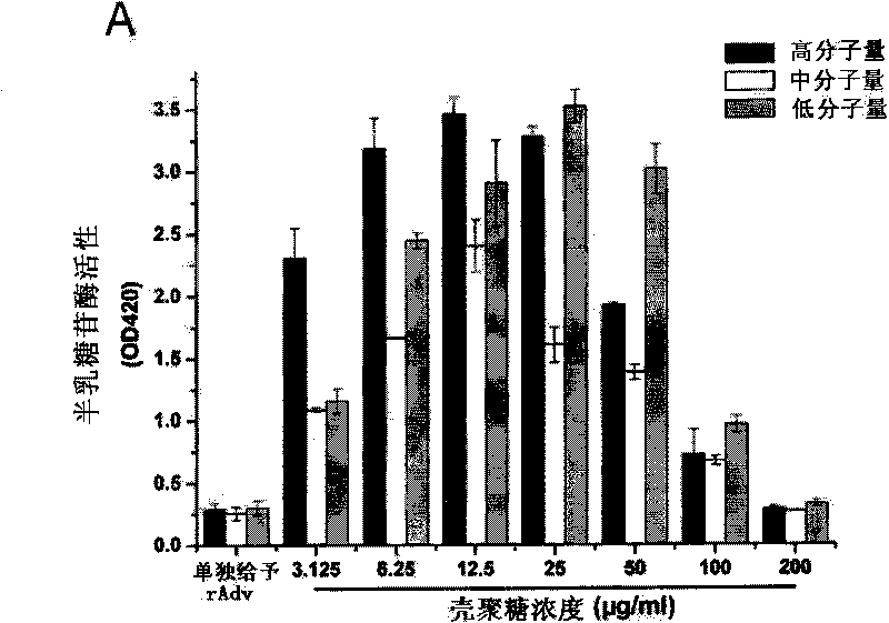 Solution of chitosan, preparation method thereof and using method thereof