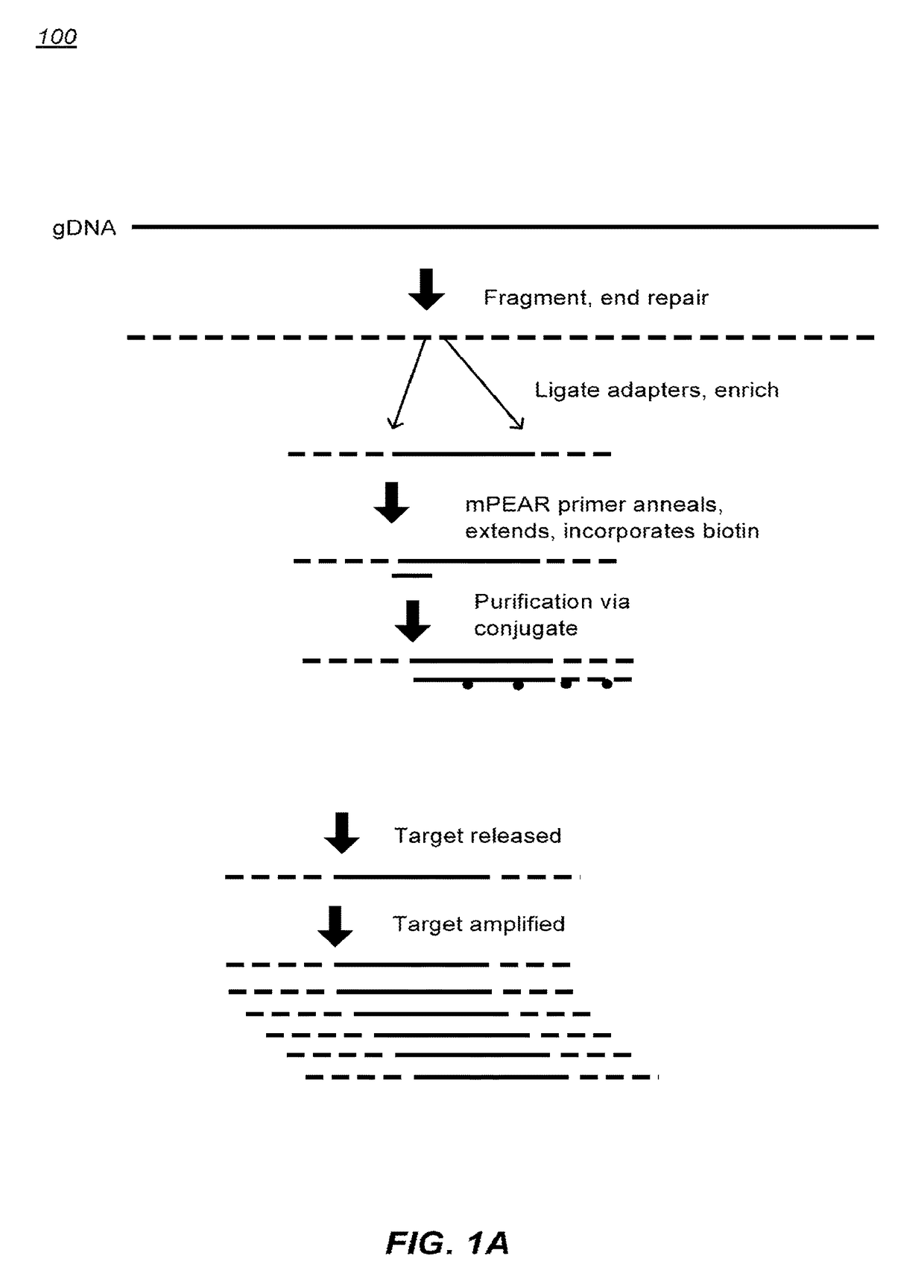 Methods of sample preparation