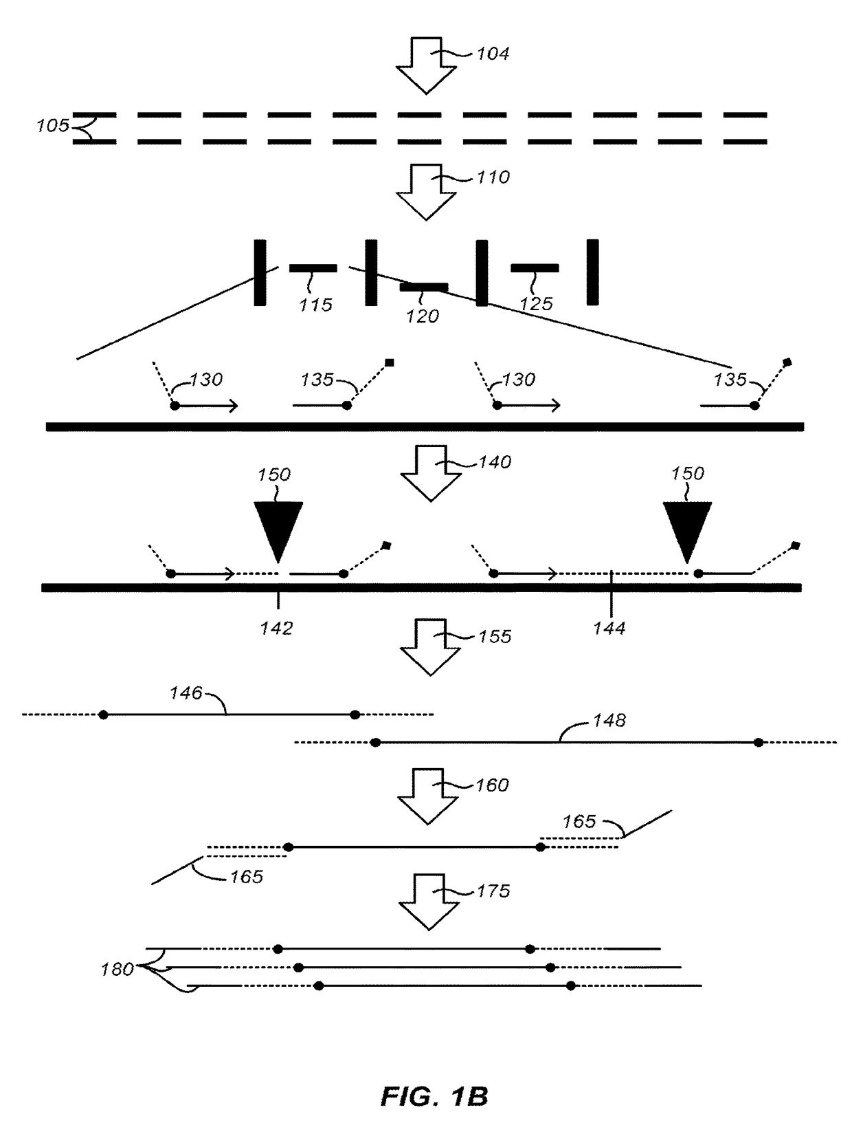 Methods of sample preparation