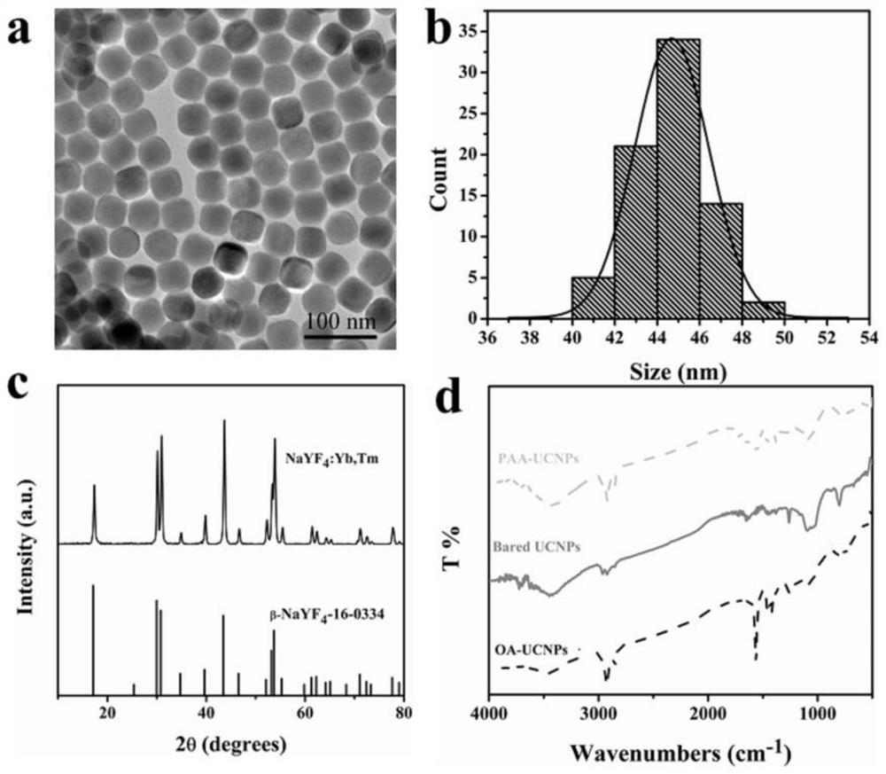 Method for detecting human epididymis protein 4 based on resonance energy transfer of up-conversion nano material and BHQ-1