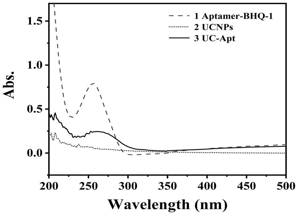 Method for detecting human epididymis protein 4 based on resonance energy transfer of up-conversion nano material and BHQ-1