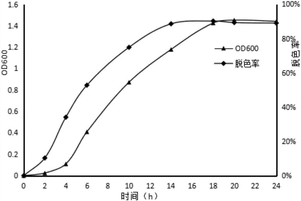 Stenotrophomonas acidaminiphila and application thereof