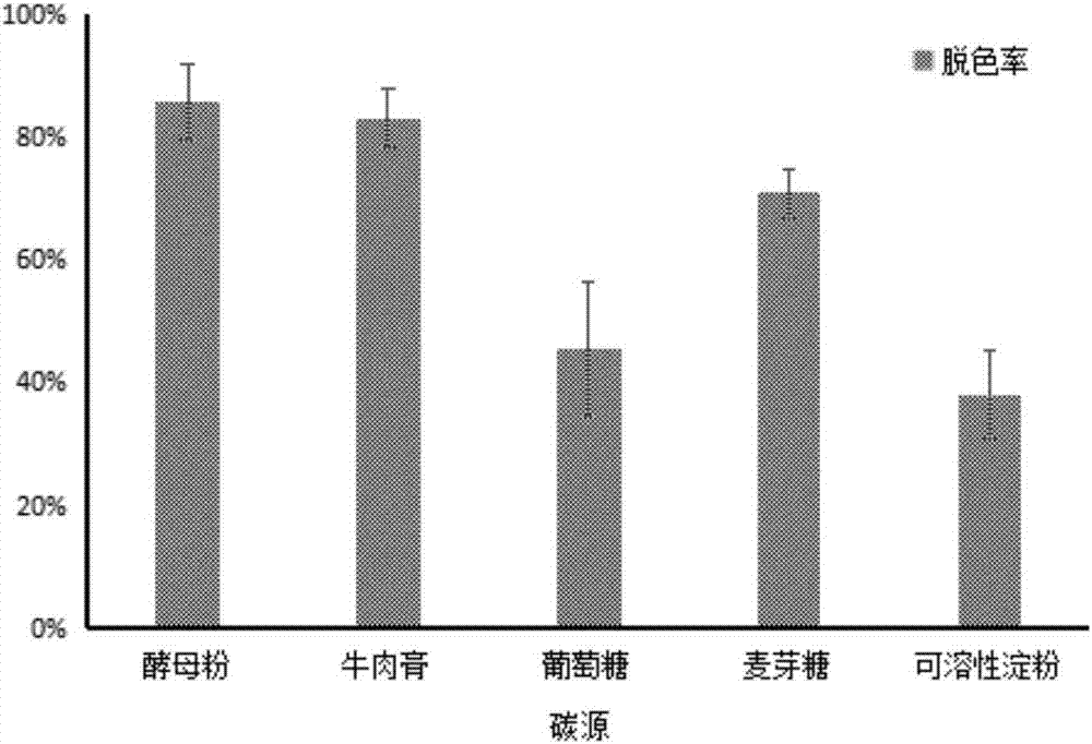 Stenotrophomonas acidaminiphila and application thereof