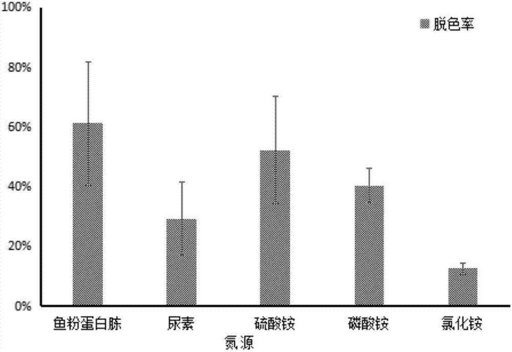 Stenotrophomonas acidaminiphila and application thereof