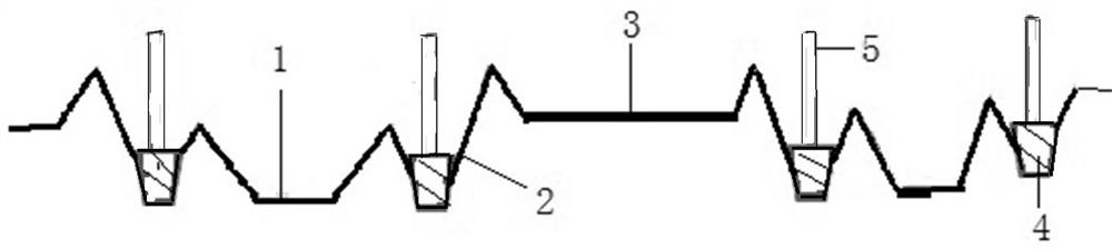 A method for planting vegetables in furrows