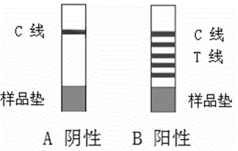 Isothermal chain multiple detection card of pathogen nucleic acid