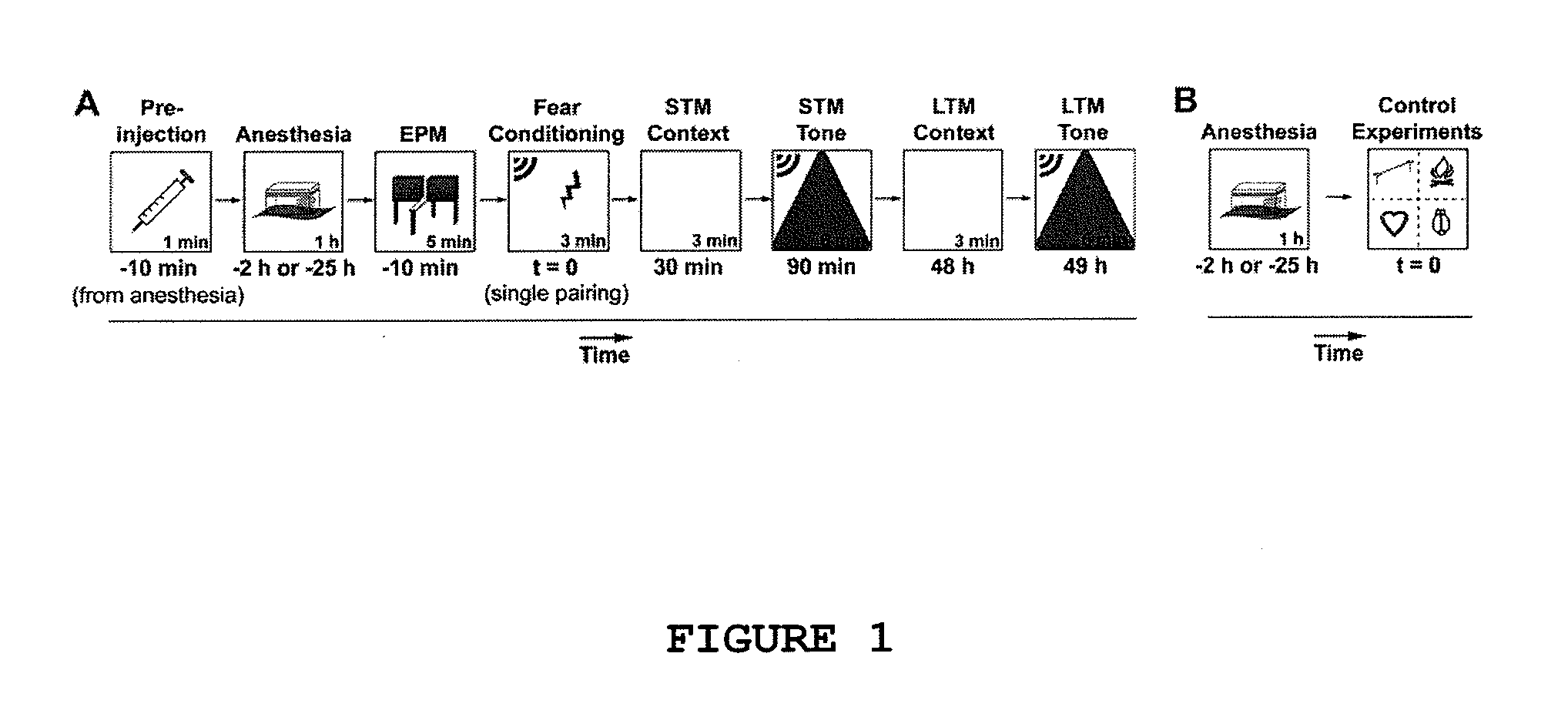 Methods for the prevention and/or treatment of memory impairment