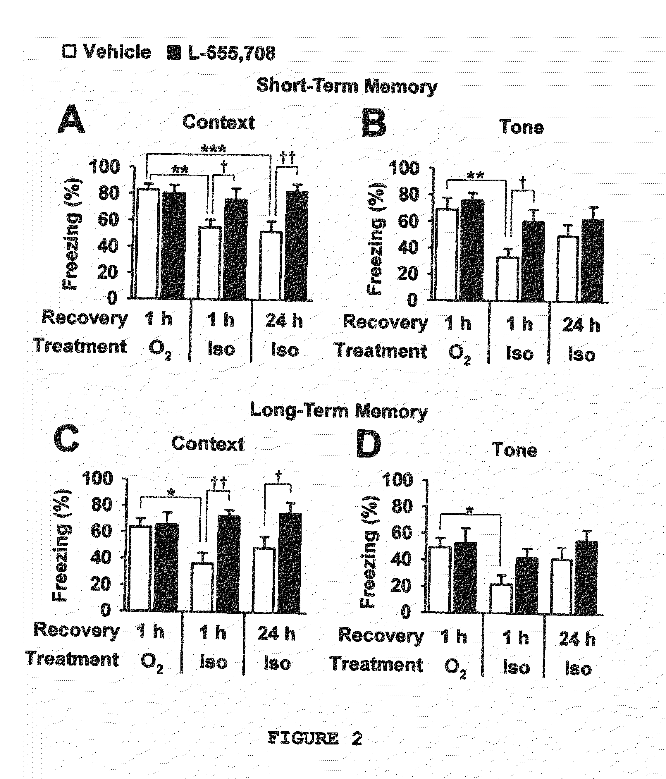 Methods for the prevention and/or treatment of memory impairment