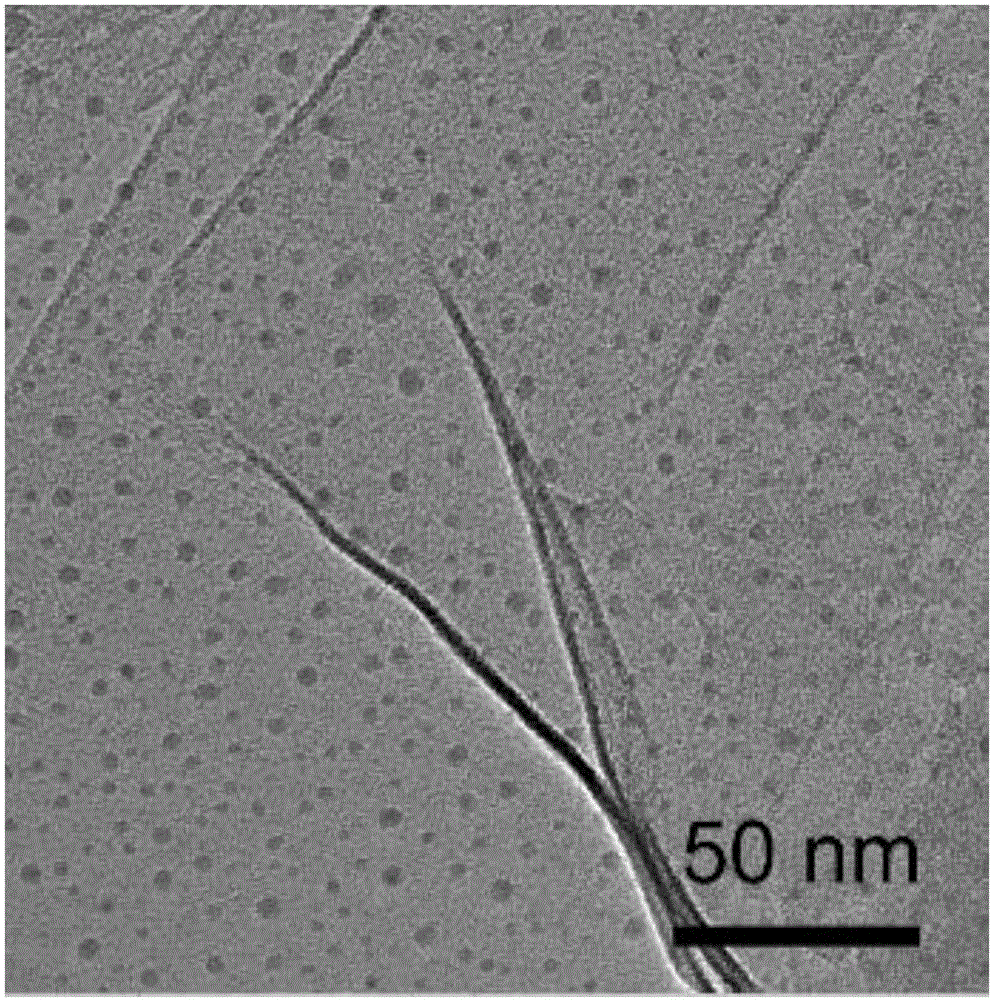 Lithium-sulfur battery positive pole material and preparation method thereof