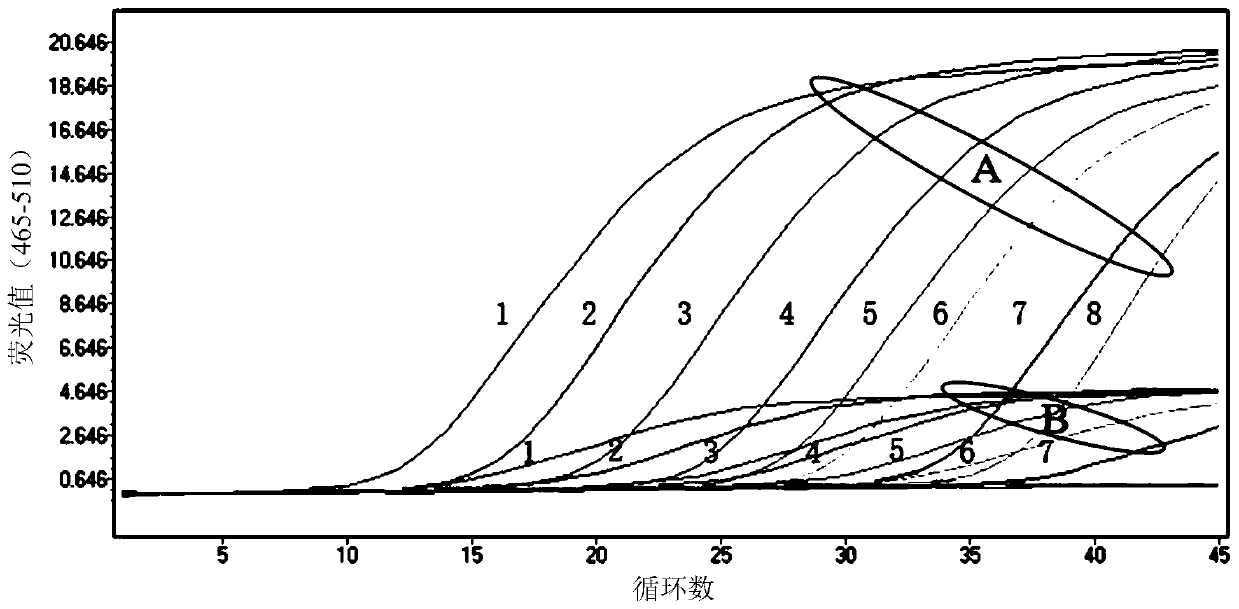 Locked nucleic acid probe fluorescent quantitative PCR detection composition, detection method and detection kit for African swine fever virus wild strain