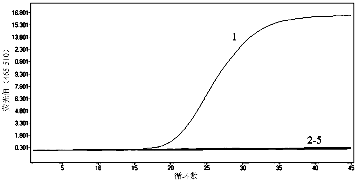 Locked nucleic acid probe fluorescent quantitative PCR detection composition, detection method and detection kit for African swine fever virus wild strain