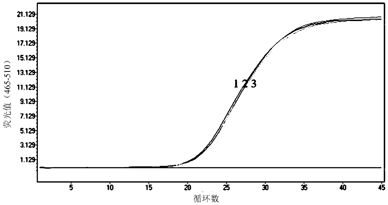 Locked nucleic acid probe fluorescent quantitative PCR detection composition, detection method and detection kit for African swine fever virus wild strain