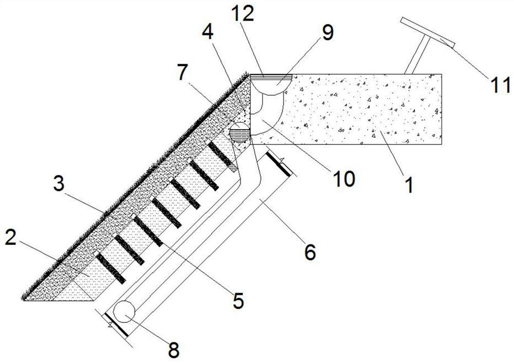 Slope greening system of novel soil layer structure and construction method of slope greening system