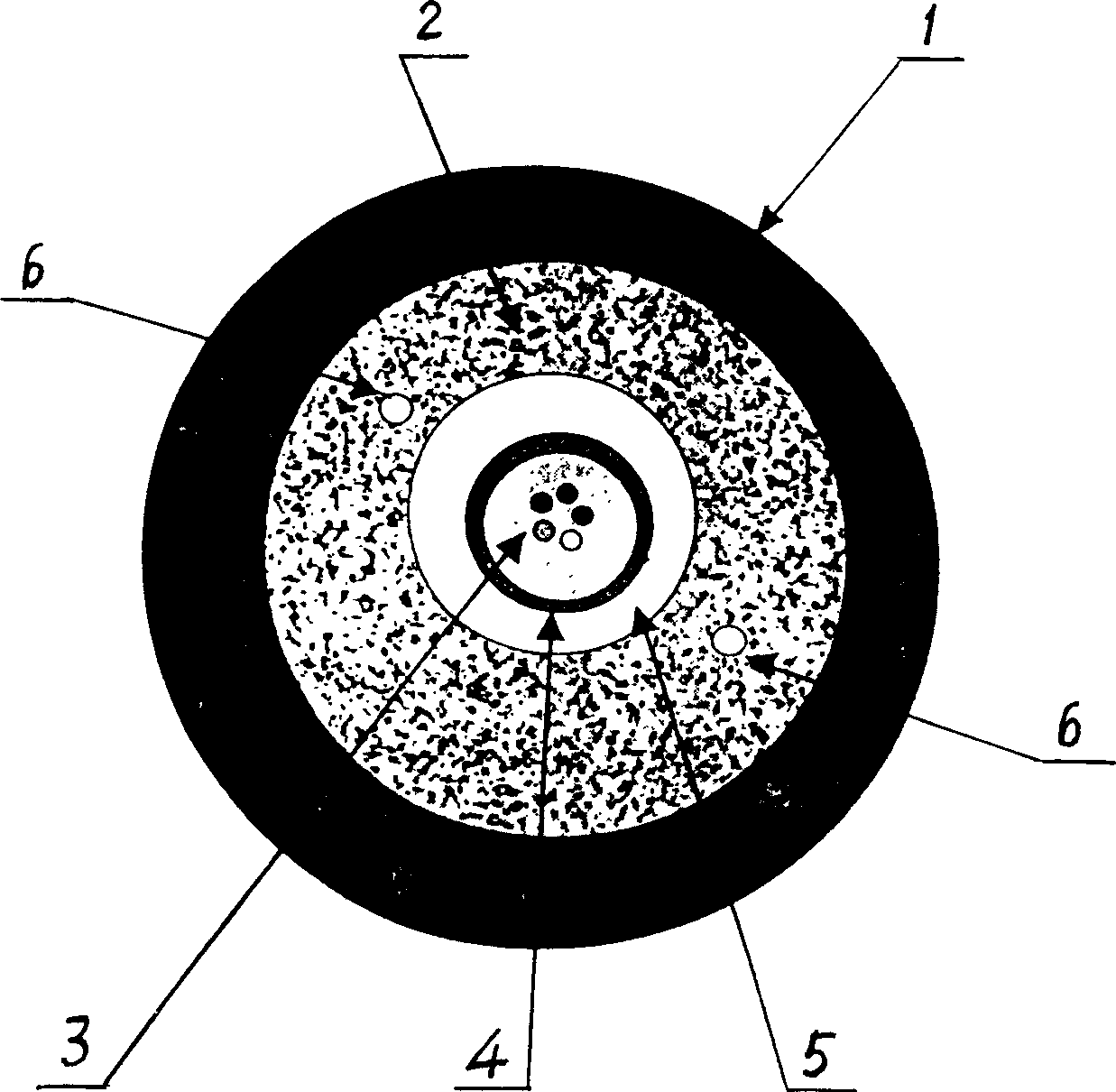 Distributed optical fiber temperature sensing and monitoring device and method for positioning dam leakage