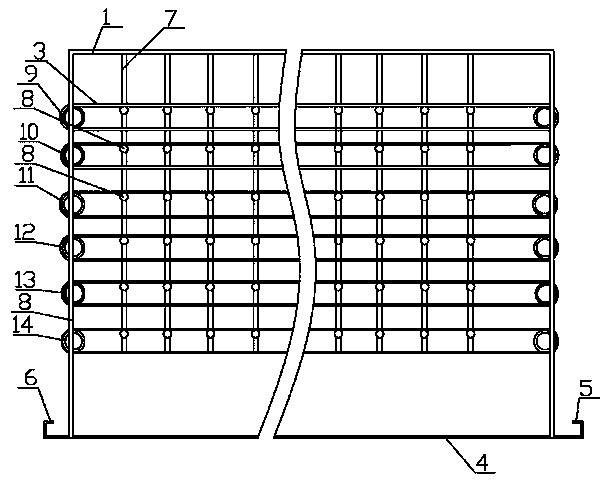 Maggot protein biological organic forage, and preparation method thereof