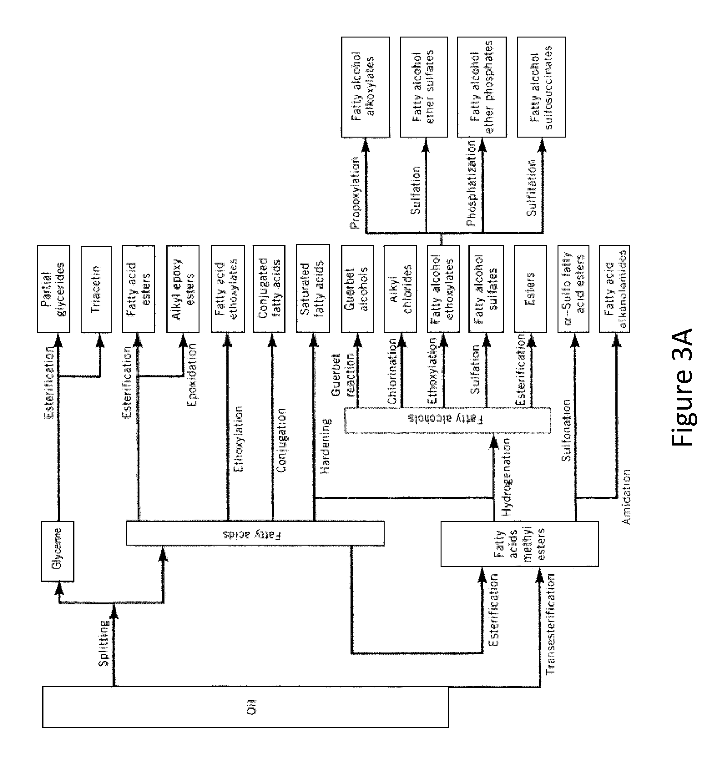 Solvent extraction of oil from distillers dried grains and methods of using extraction products