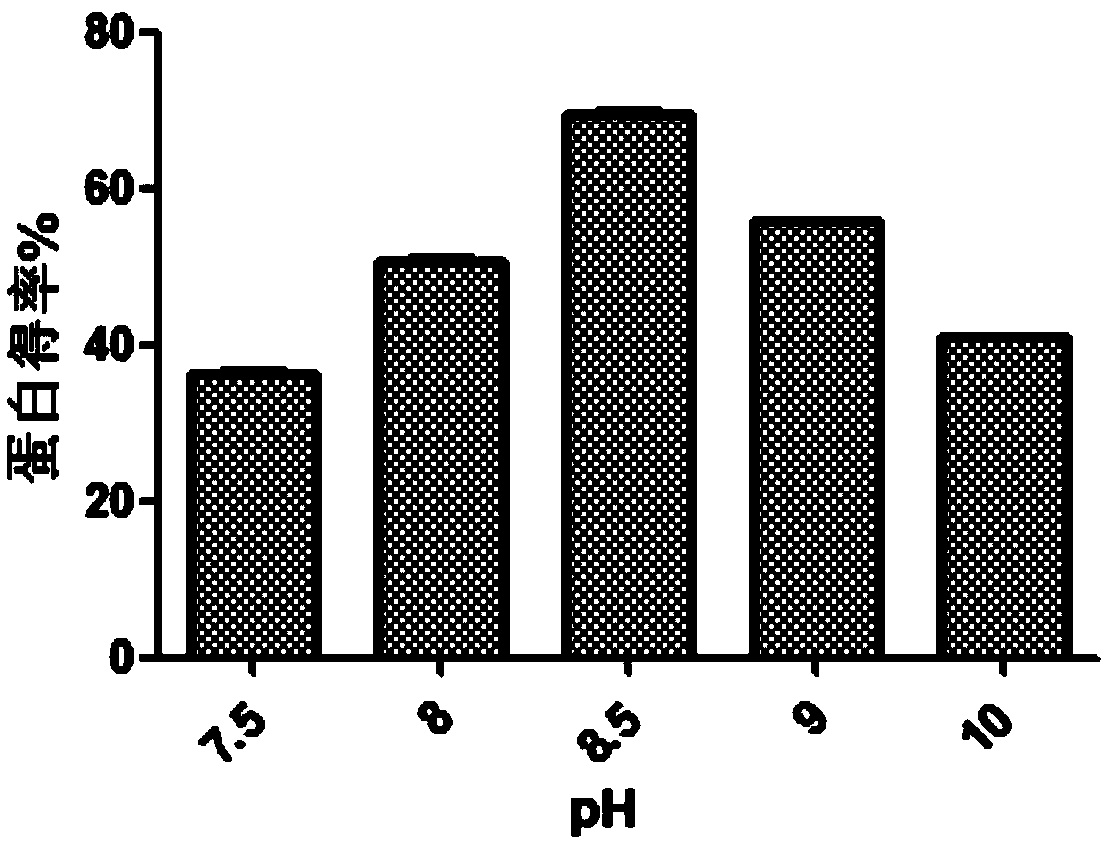 Anti-aging composition, preparation method and cosmetics containing composition