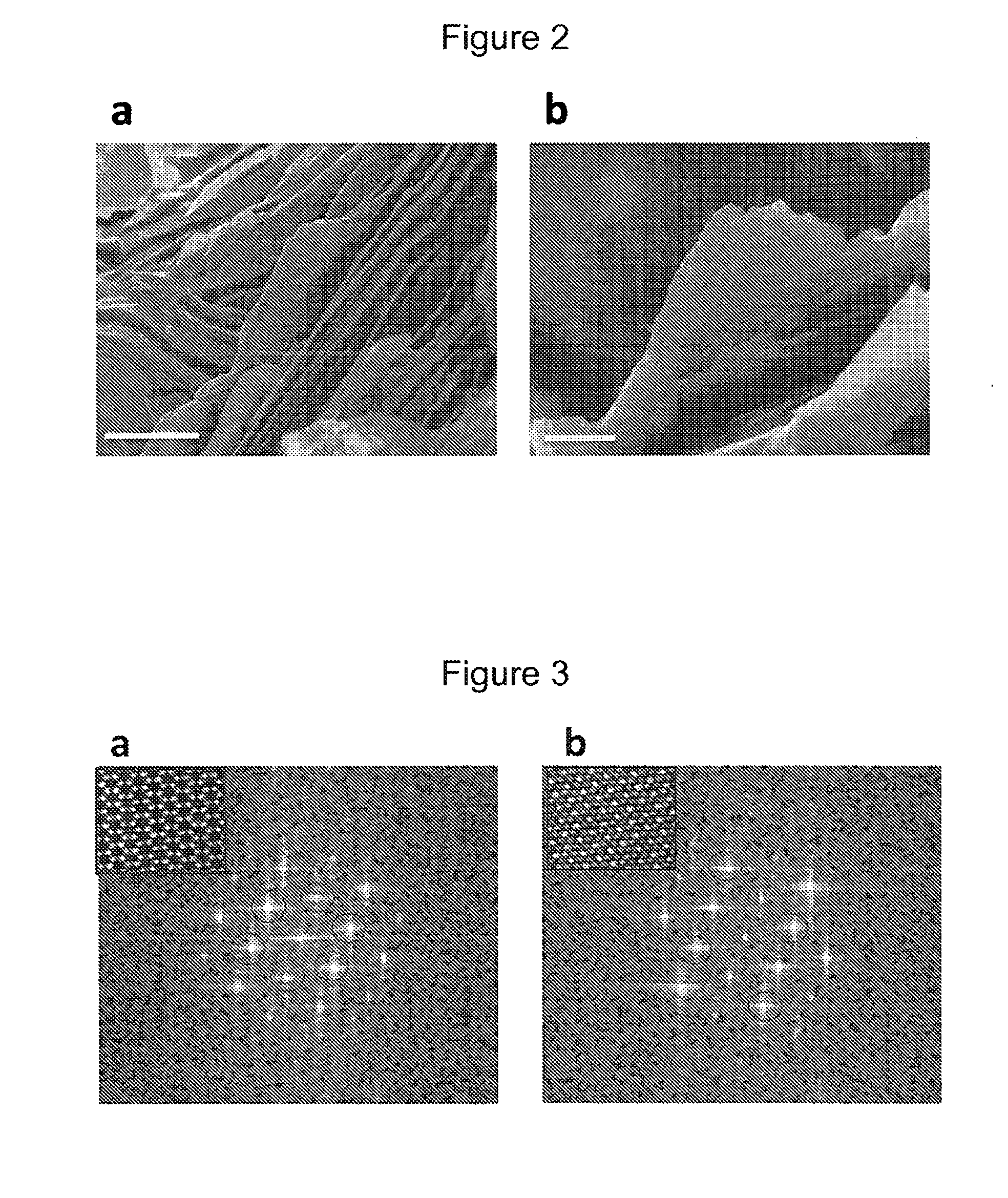 Catalysts for Carbon Dioxide Conversion