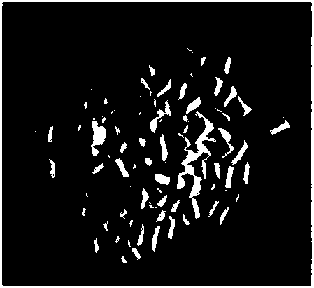 A method for directly preparing hzsm-5 molecular sieve and forming hzsm-5 molecular sieve