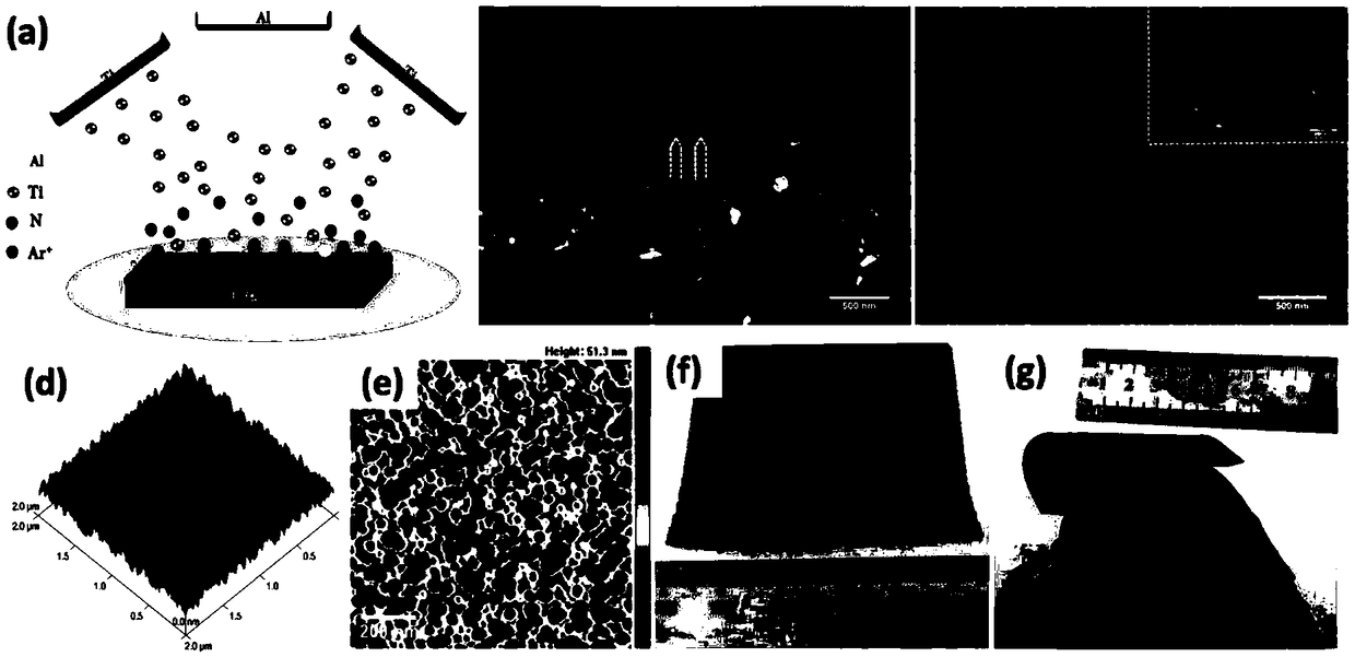 Light absorption coating film as well as preparation method and application thereof