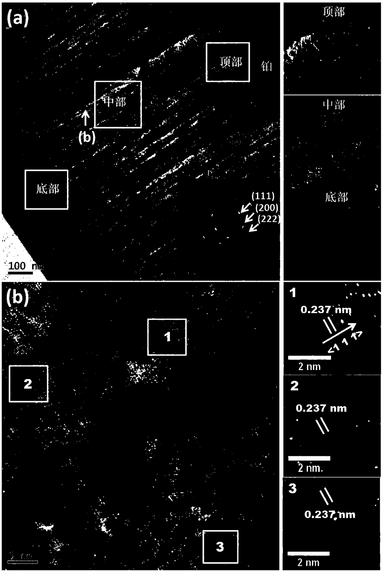 Light absorption coating film as well as preparation method and application thereof