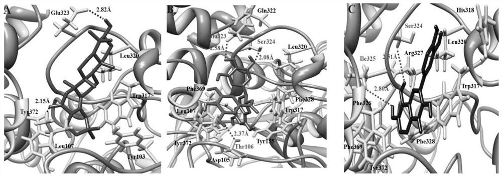 Application of plant compounds in preparation of drugs for preventing and treating Alzheimer's disease