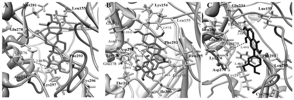 Application of plant compounds in preparation of drugs for preventing and treating Alzheimer's disease