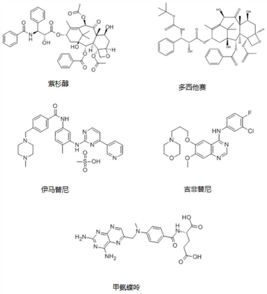 Enrichment detection method and application of five antitumor drugs in a blood sample