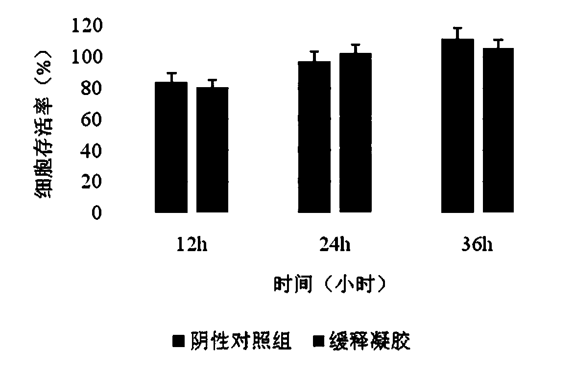 Mesenchymal stem cell substitute product containing degradable biomedical sustained-release material and application thereof